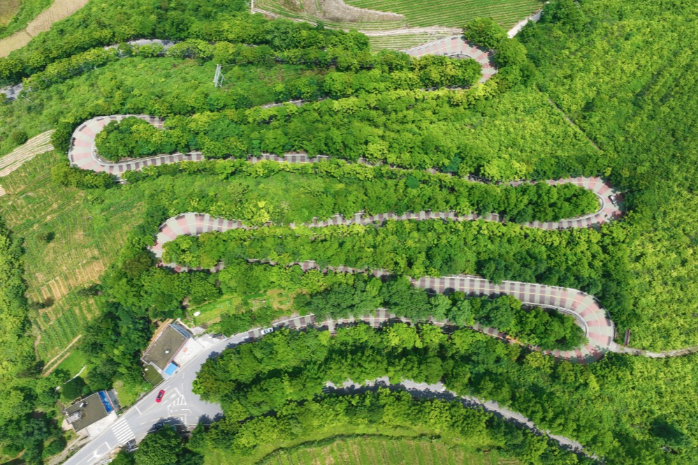 出行提示_農(nóng)村道路交通安全提示_駕駛?cè)顺鲂邪踩?/></p></div>
    <div   id="e1auykdlr"   class="clearfix"></div>
        <h5 class="post-tags"><span id="e1auykdlr"    class="glyphicon glyphicon-tags"></span> <a href="http://m.shandongkeji.com/tags-7357.html" title="農(nóng)村交通安全">農(nóng)村交通安全</a><a href="http://m.shandongkeji.com/tags-2648.html" title="交通安全提示">交通安全提示</a><a href="http://m.shandongkeji.com/tags-8805.html" title="駕駛?cè)税踩?>駕駛?cè)税踩?/a><a href="http://m.shandongkeji.com/tags-6889.html" title="行人安全">行人安全</a><a href="http://m.shandongkeji.com/tags-8806.html" title="黔江交警">黔江交警</a></h5>
        <div   id="e1auykdlr"   class="alert alert-info p-copyright" role="alert">
        <p> 本站文章除注明轉(zhuǎn)載/出處外，均為本站原創(chuàng)或翻譯。若要轉(zhuǎn)載請務(wù)必注明出處，尊重他人勞動成果共創(chuàng)和諧網(wǎng)絡(luò)環(huán)境。 </p>
        <p> 轉(zhuǎn)載請注明 : 文章轉(zhuǎn)載自 ?<a href="http://m.shandongkeji.com/" rel="bookmark" title="作者：admin"> 途訊交通網(wǎng) </a>?<a href="http://m.shandongkeji.com/txfl-3.html" rel="bookmark" title="網(wǎng)站分類：出行攻略與工具"> 出行攻略與工具 </a> ?<a href="http://m.shandongkeji.com/tx/13597.html" rel="bookmark" title="本文固定鏈接：http://m.shandongkeji.com/tx/13597.html"> 10月16日黔江民警做客欄目解讀農(nóng)村道路交通安全要點 </a> </p>
    </div>
    <div   id="e1auykdlr"   class="clearfix"></div>
    <ul class="post-share-tools">
        <li><a href="javascript:;" class="share-tools praise" xv=