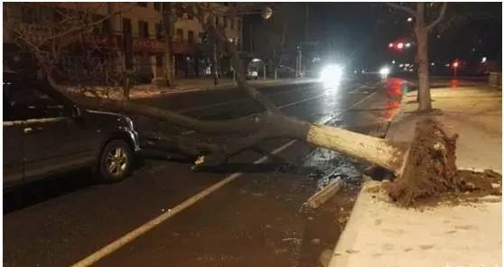 大風(fēng)天氣行車安全注意事項_出行提示_大風(fēng)天氣車輛行駛技巧