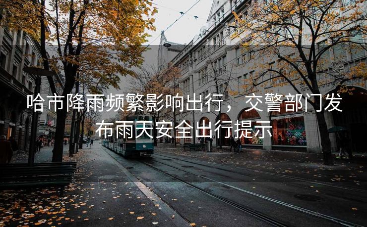 哈市降雨頻繁影響出行，交警部門(mén)發(fā)布雨天安全出行提示