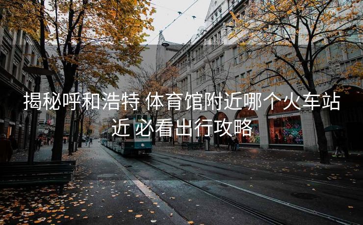 揭秘呼和浩特 體育館附近哪個火車站近 必看出行攻略