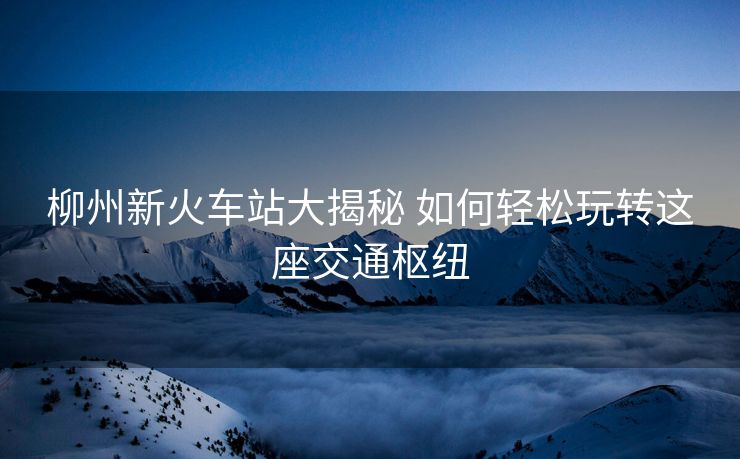 柳州新火車站大揭秘 如何輕松玩轉這座交通樞紐