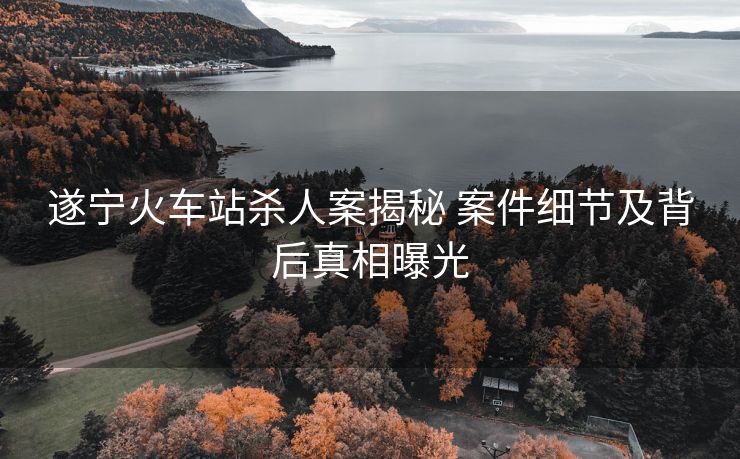 遂寧火車站殺人案揭秘 案件細(xì)節(jié)及背后真相曝光