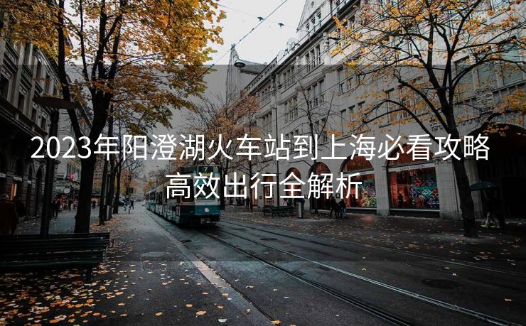 2023年陽澄湖火車站到上海必看攻略 高效出行全解析