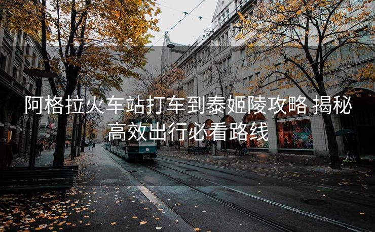 阿格拉火車站打車到泰姬陵攻略 揭秘高效出行必看路線