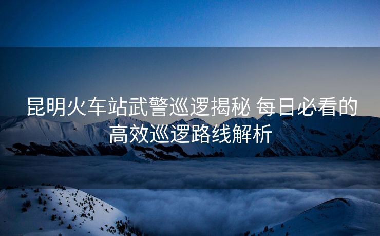 昆明火車站武警巡邏揭秘 每日必看的高效巡邏路線解析